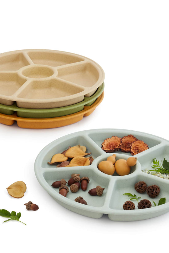 Loose Parts Sorting Trays