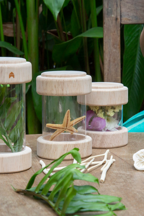 Treasure Tubes