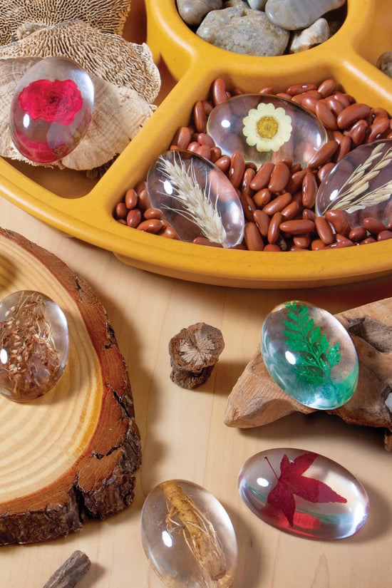 Specimen Stones