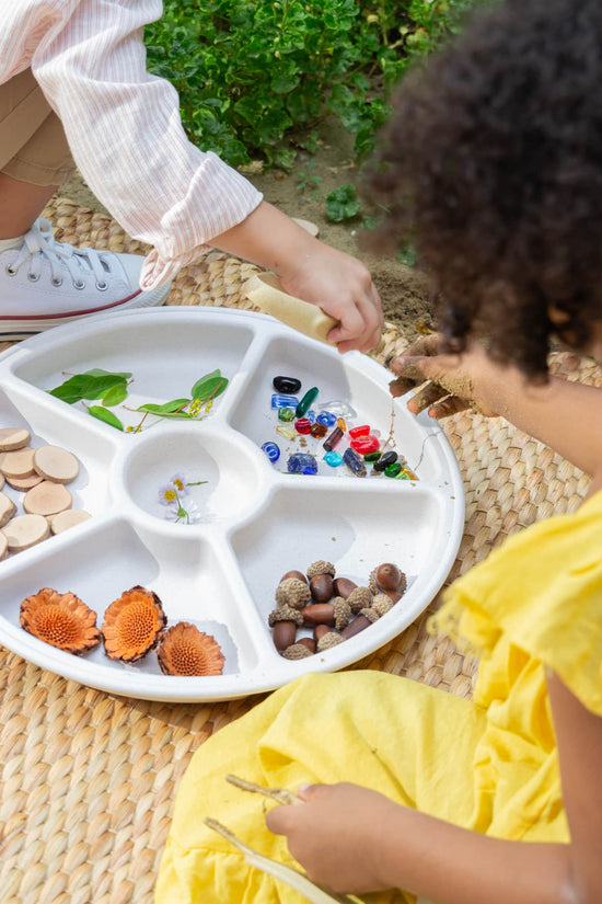 Loose Parts Sorting Trays