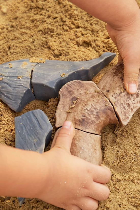 Magnetic Fossil 3D Puzzle
