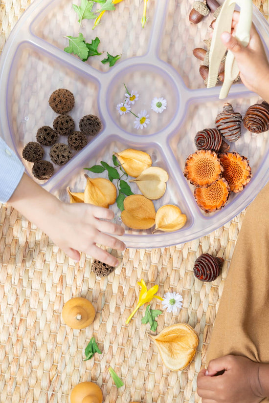 Loose Parts Sorting Trays