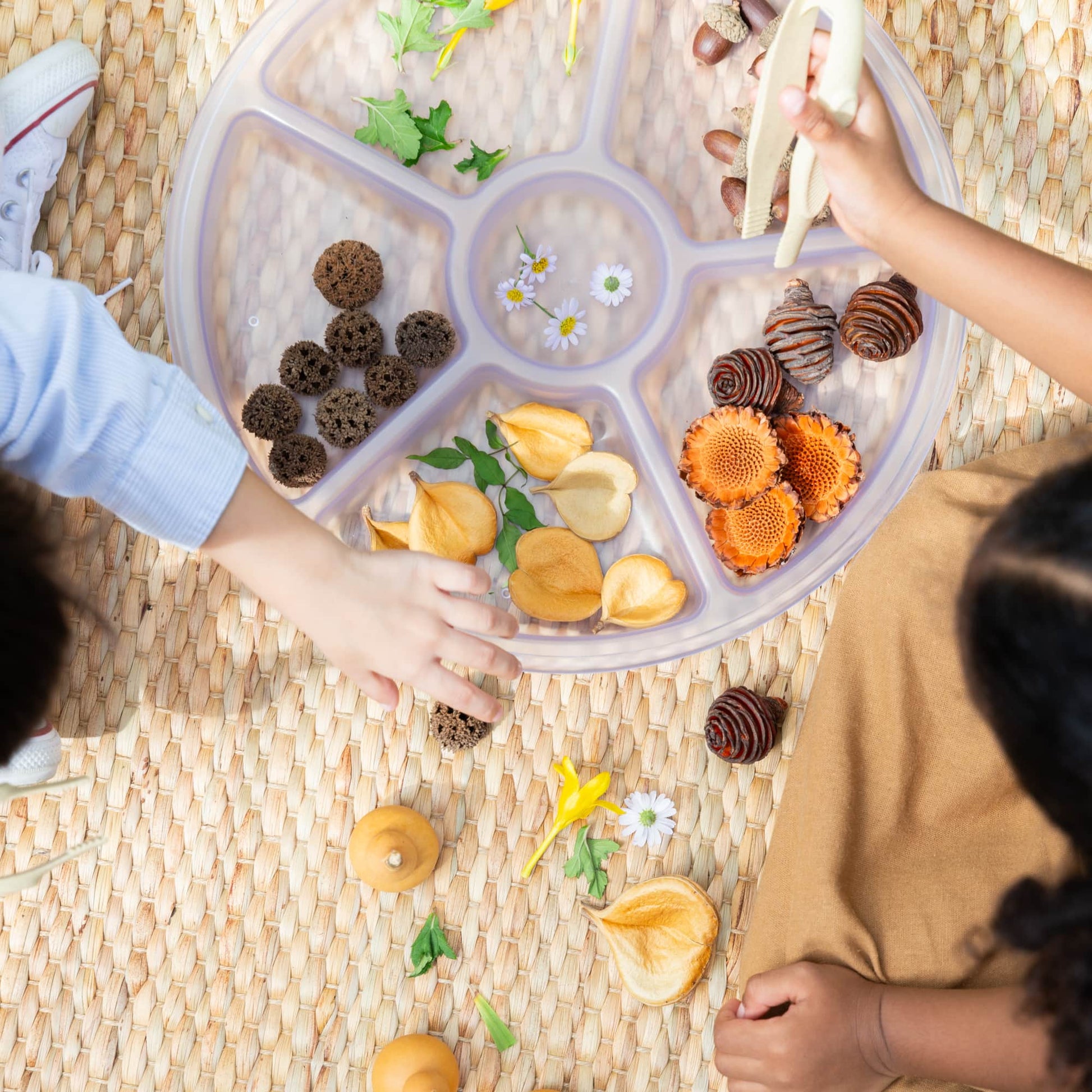 Loose Parts Sorting Trays
