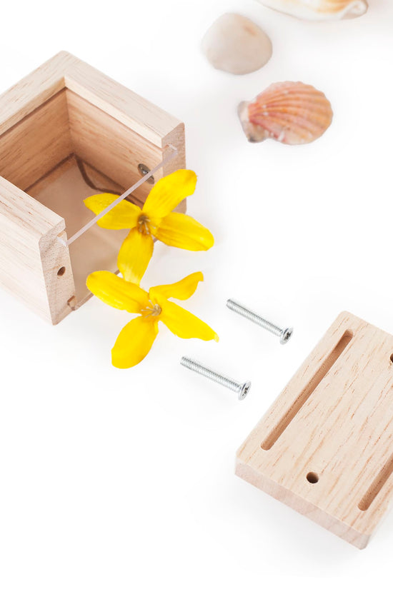 Treasure Blocks