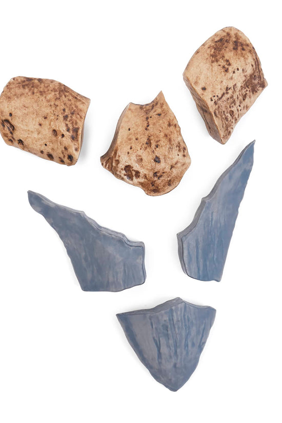 Magnetic Fossil 3D Puzzle