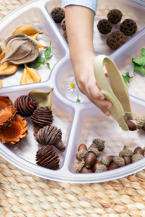 Loose Parts Sorting Trays
