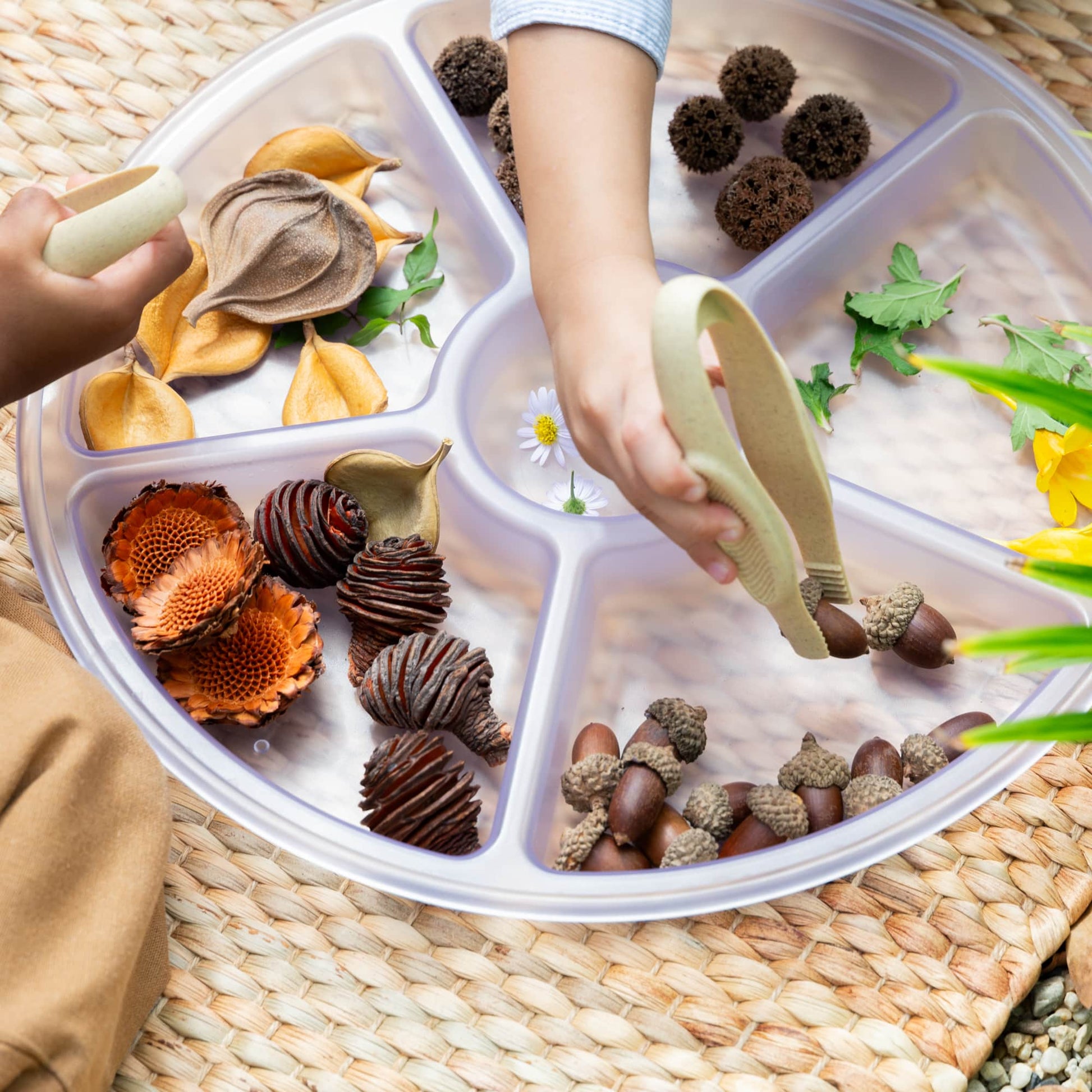 Loose Parts Sorting Trays
