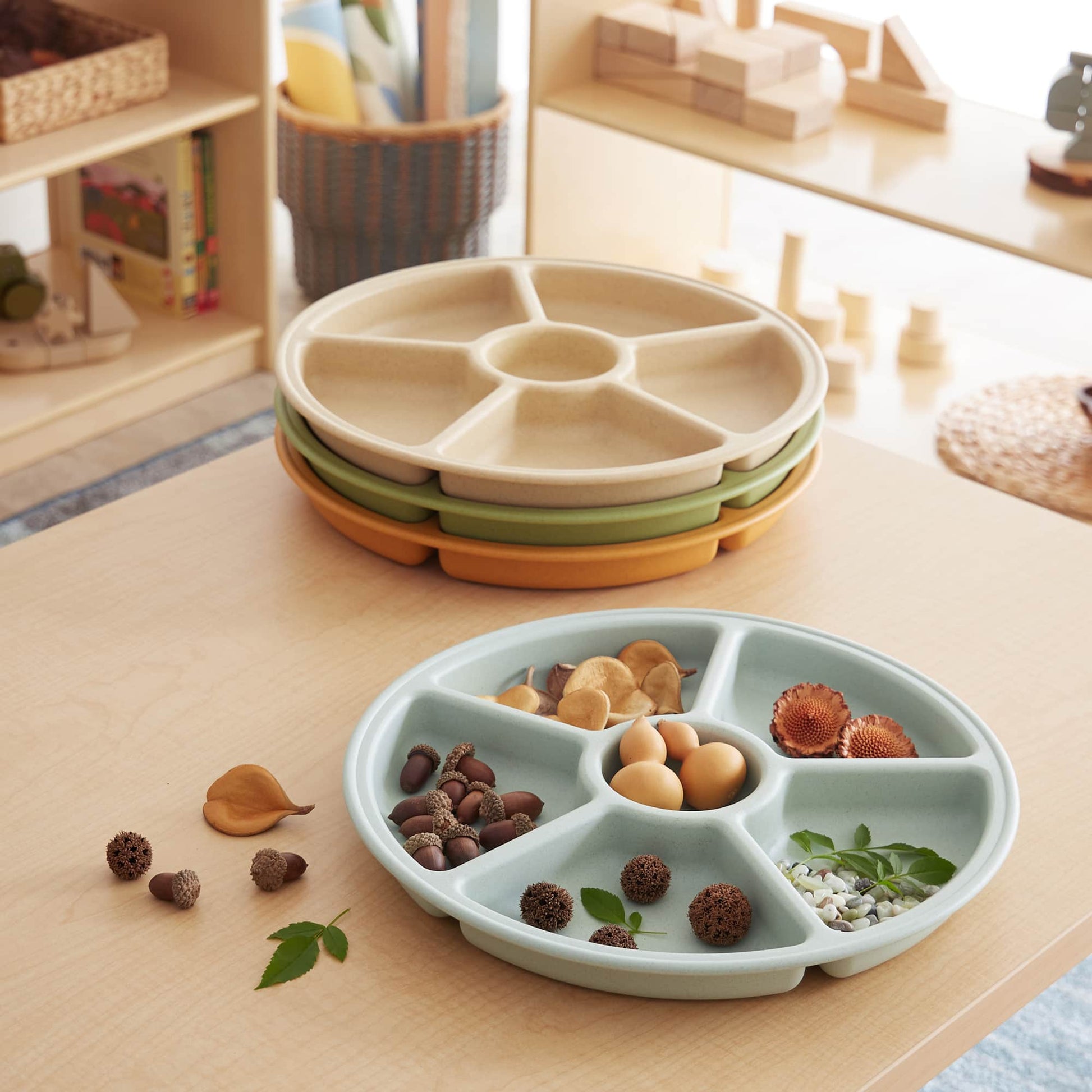 Loose Parts Sorting Trays