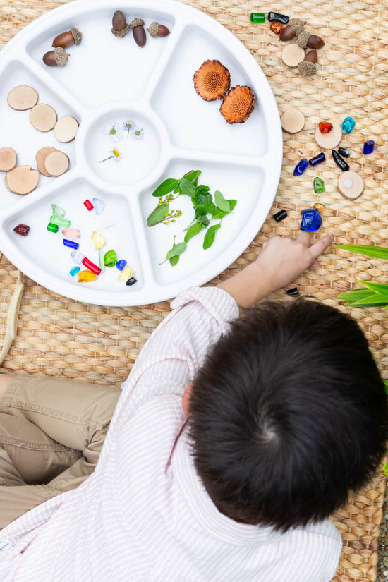 Loose Parts Sorting Trays