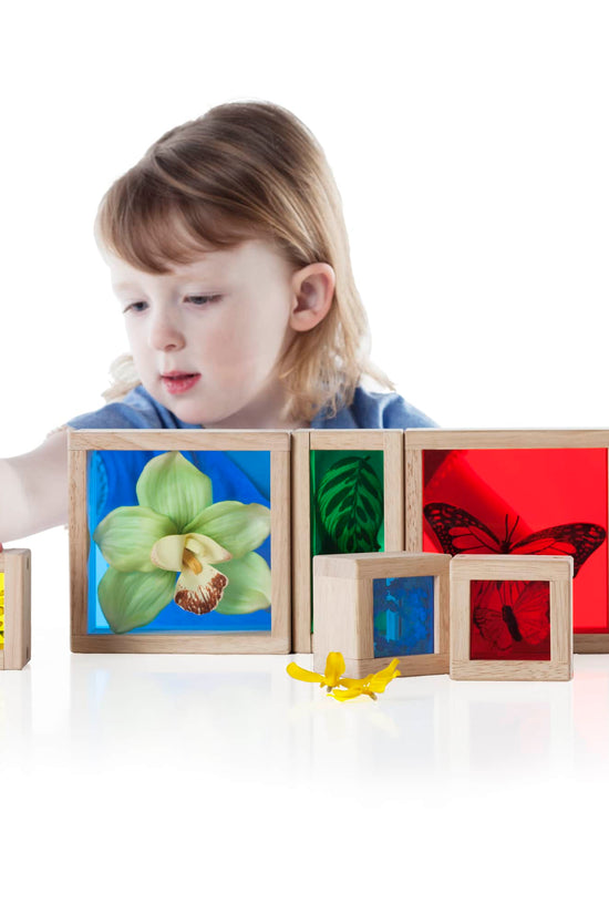 Treasure Blocks