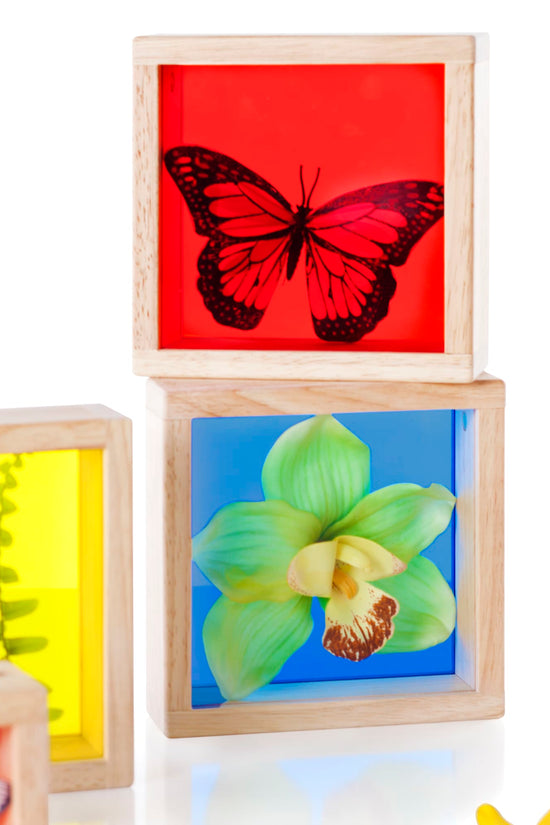 Treasure Blocks