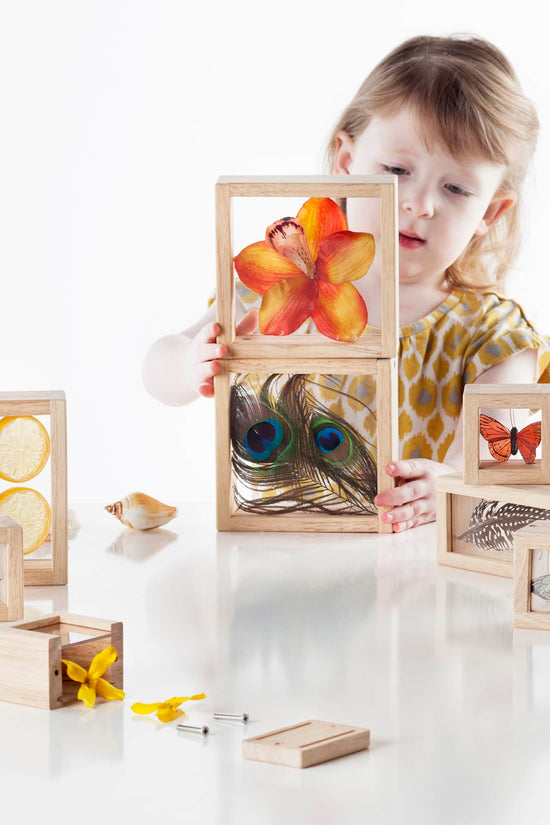 Treasure Blocks
