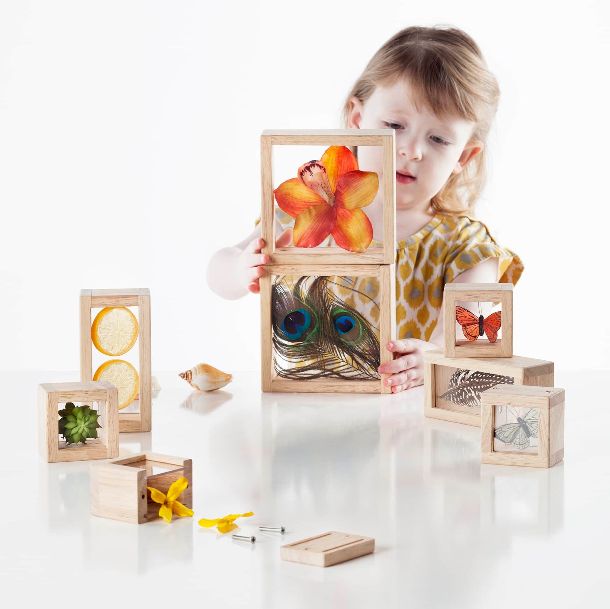 Treasure Blocks