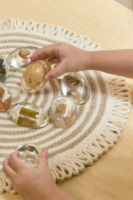 Specimen Stones