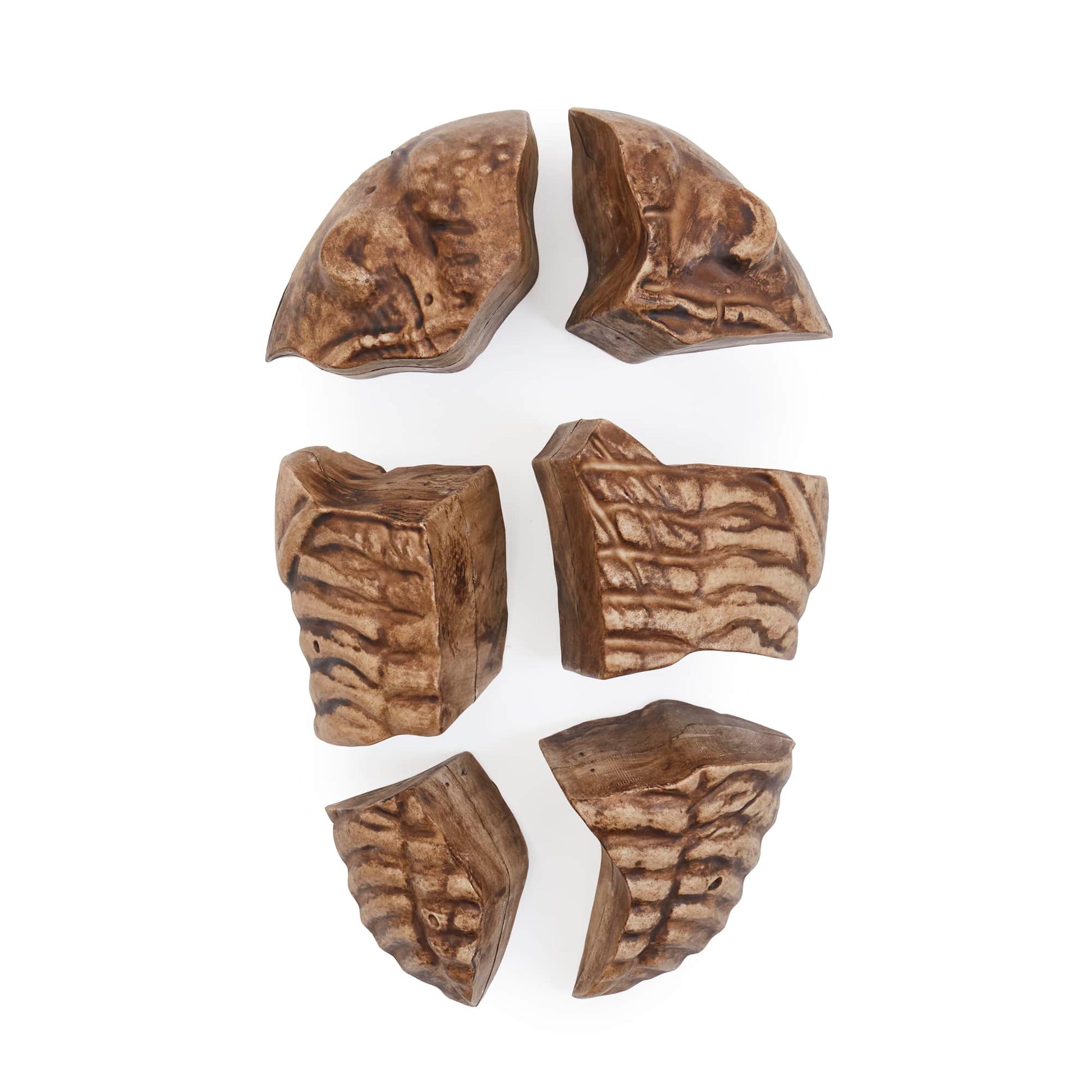Magnetic Fossil 3D Puzzle